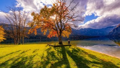 Твоя счастливая осень: 9 шагов к обновлению