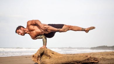Шри Ауробиндо: Хатха-йога